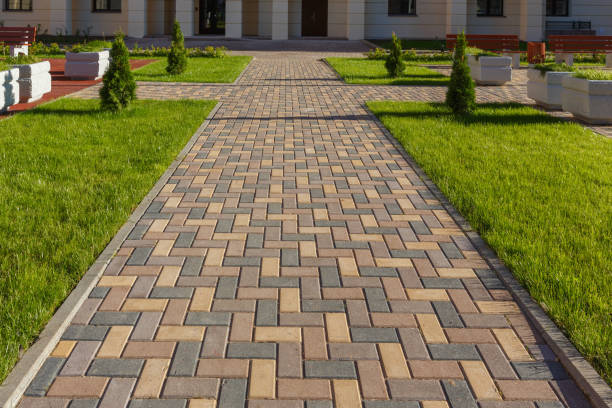 Best Local Driveway Pavers  in Tomah, WI